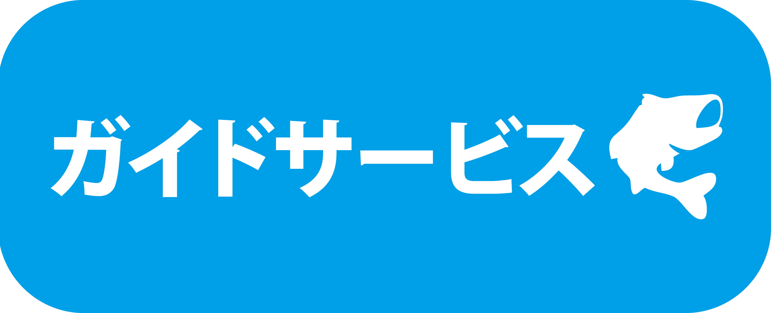 さめうらボート 早明浦ダムのバス釣りレンタルボート 同船レンタル