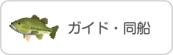 さめうらボート 早明浦ダムのバス釣りレンタルボート ガイド
